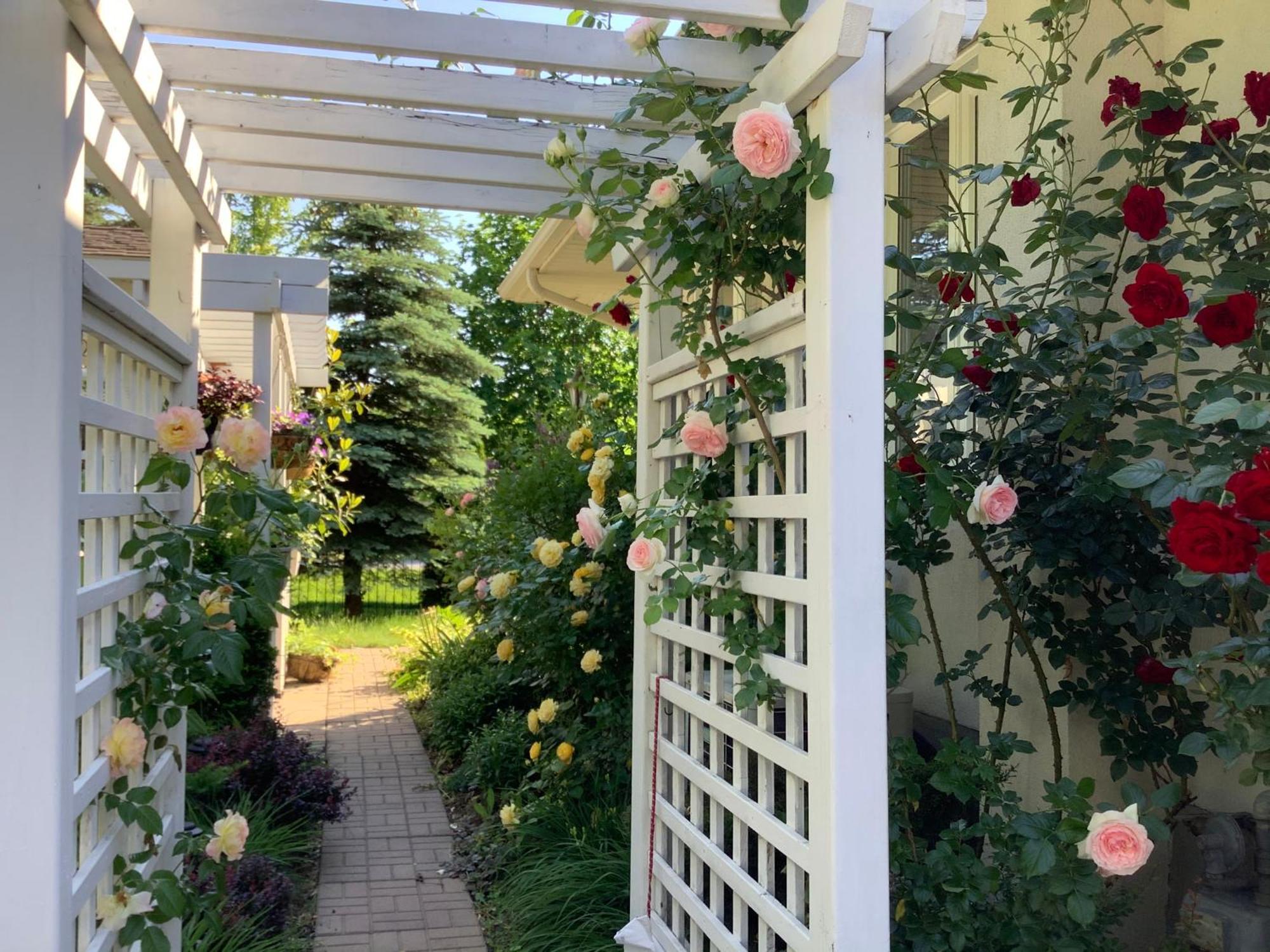 Via Veneto - Old Town Bed & Breakfast Niagara-on-the-Lake Luaran gambar