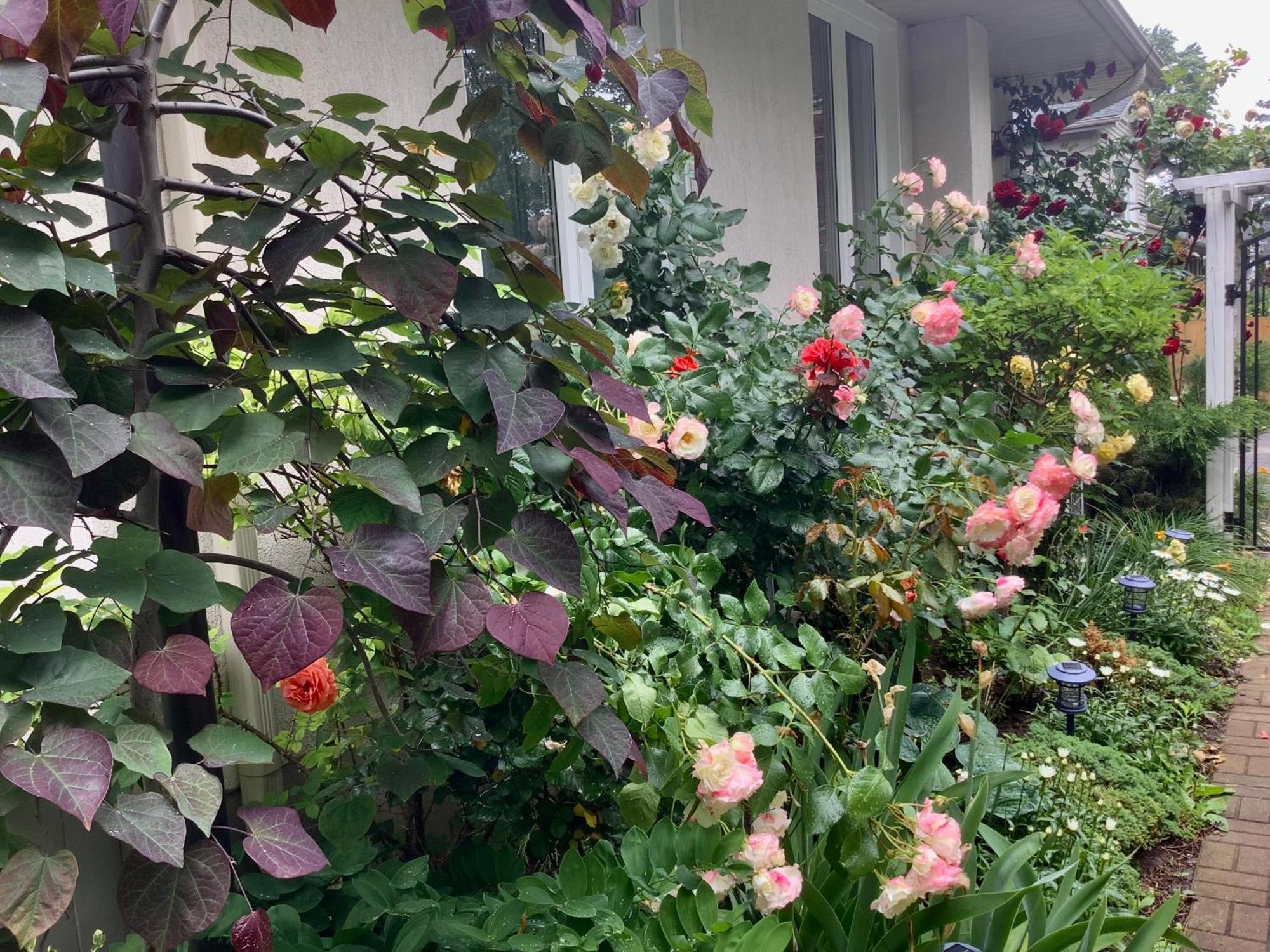 Via Veneto - Old Town Bed & Breakfast Niagara-on-the-Lake Luaran gambar