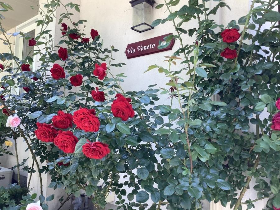 Via Veneto - Old Town Bed & Breakfast Niagara-on-the-Lake Luaran gambar